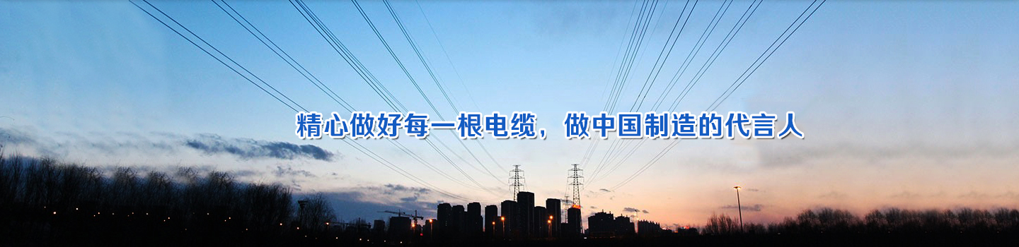 太阳网集团全站经销商管理平台注册与资质审核入口