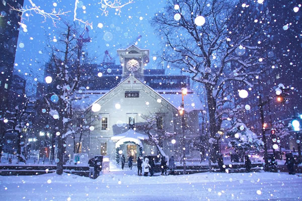🌨️ 雪国驰骋·自在随行 | 札幌包车，解锁北国秘境之美包车配合